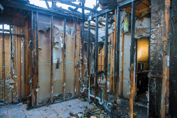 Professional Smoke Damage Removal technician working in South Portland, ME